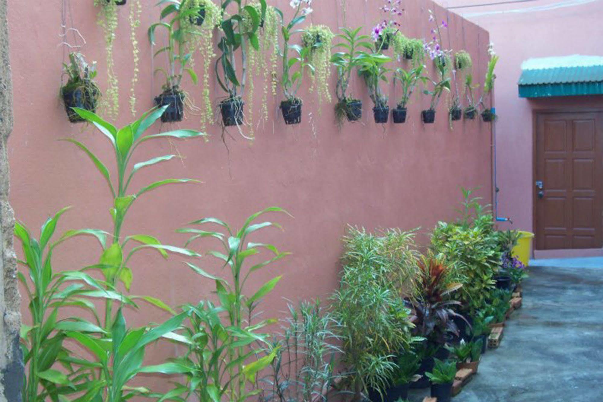 D'S Corner & Guesthouse Phuket Ngoại thất bức ảnh